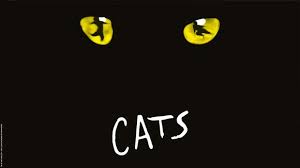 Gelber Katzenaugen auf schwarzem Hintergrund mit dem Wort "CATS" in Weiß.